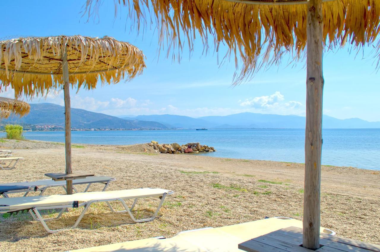 Epipleon Luxury Suites -104- Δωμάτιο 35Τμ Με Βεράντα 35Τμ Μπροστά Στη Θάλασσα 纳弗帕克托斯 外观 照片